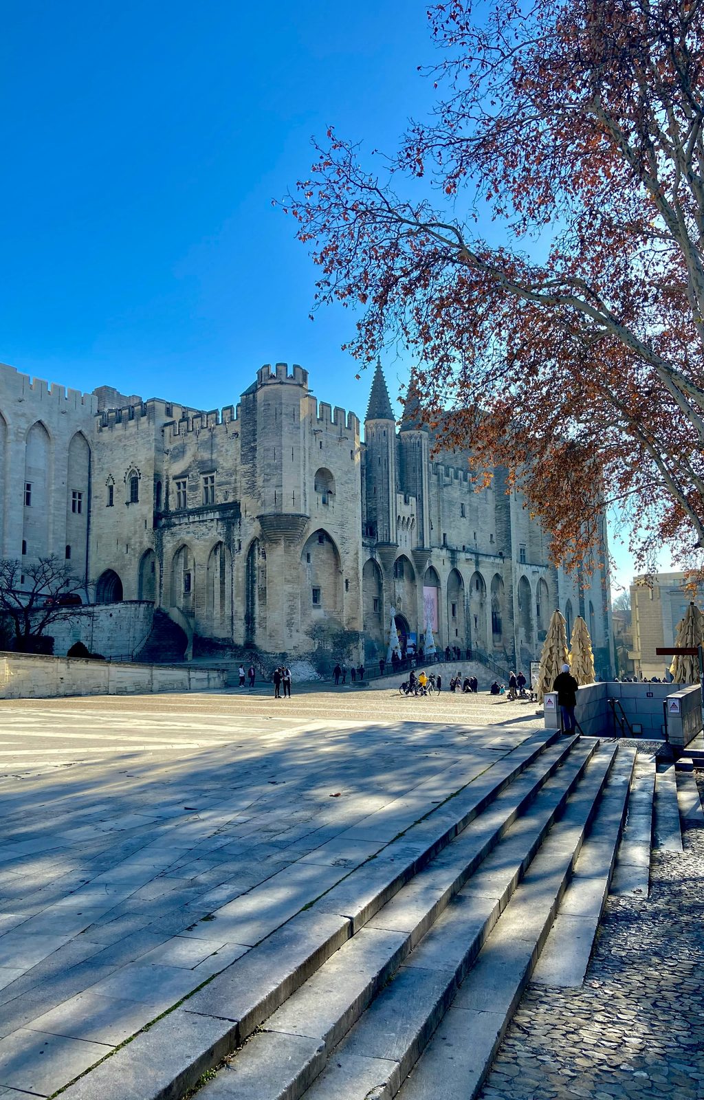 Avignon