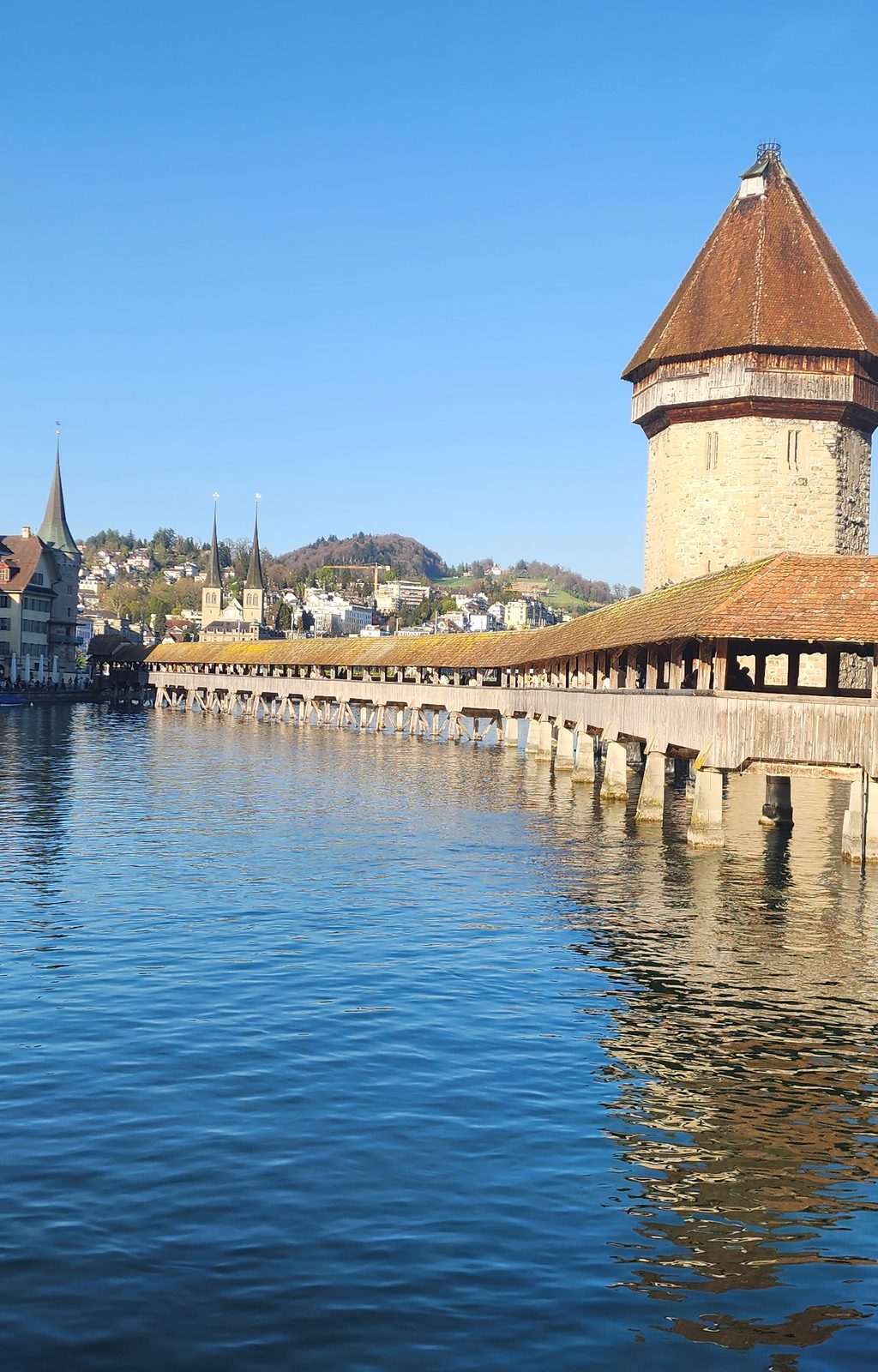 Lucerne